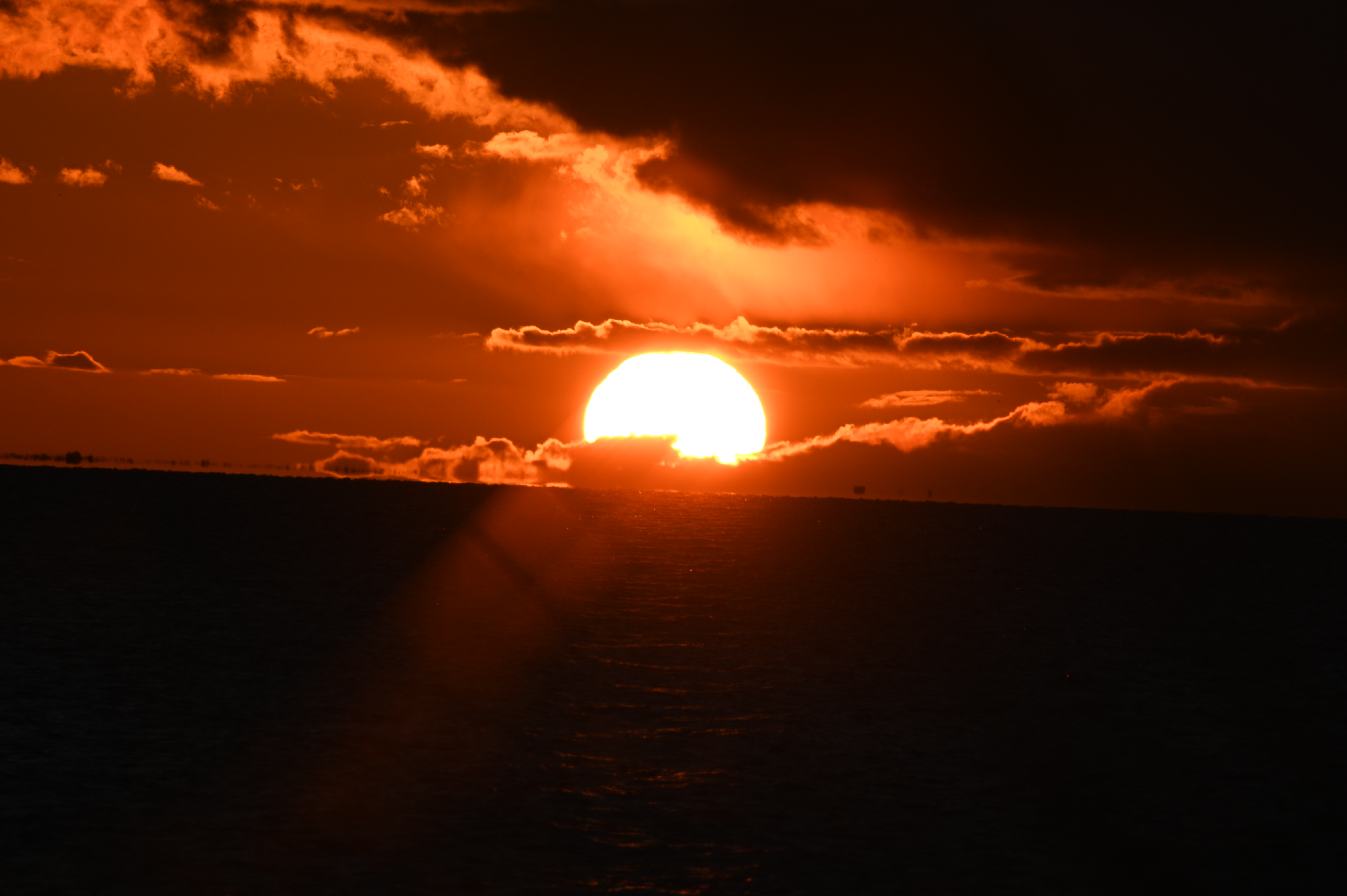 2025/10/18 - walk/DSC_0471.JPG